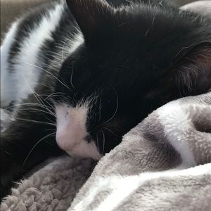 Meet your Posher, Ayrica